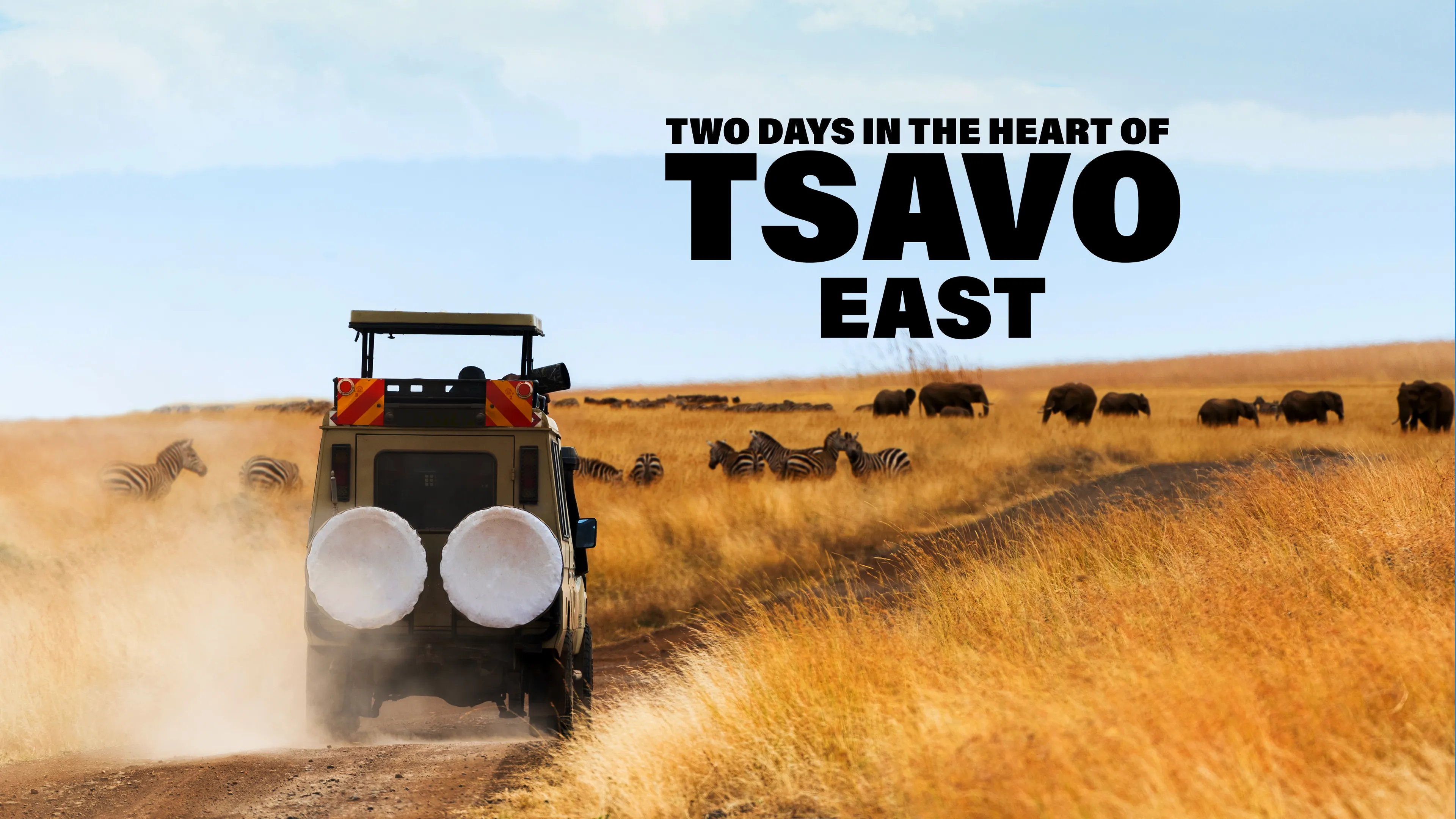 Two Days in the Heart of Tsavo East poster